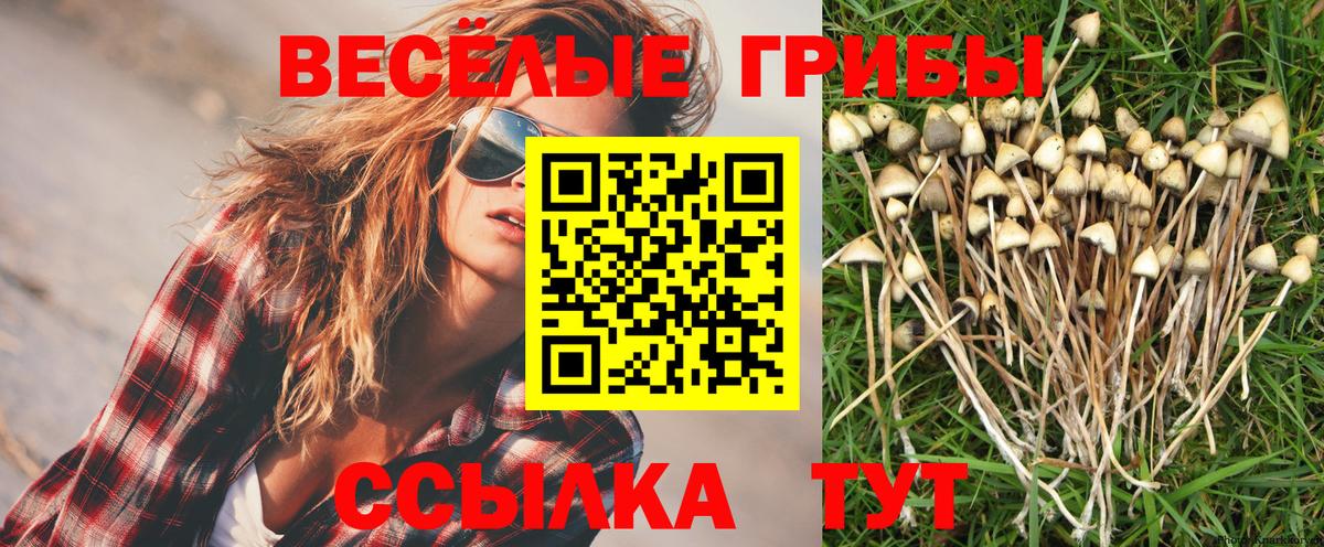 Псилоцибиновые грибы Psilocybine cubensis  Вход с VPN  Лянтор 