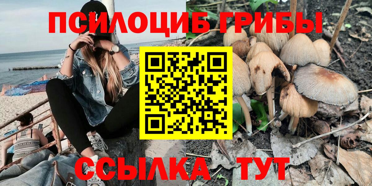 Галлюциногенные грибы Cubensis Лянтор